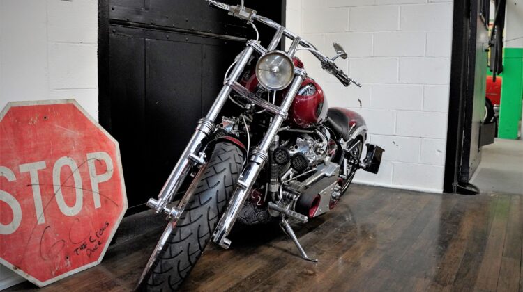 1989 Harley Davidson Softtail (1)