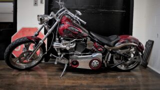 1989 Harley Davidson Softtail (2)