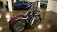 1989 Harley Davidson Softtail (5)
