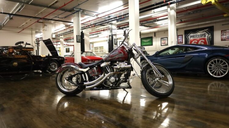1989 Harley Davidson Softtail (3)