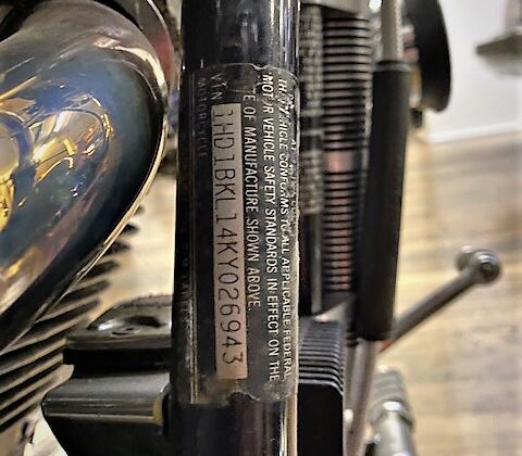 1989 Harley Davidson Softtail (22)